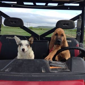 Meet your Posher, Kim